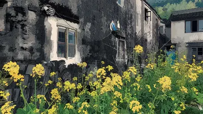 A vibrant field of yellow flowers contrasts with the weathered black and white walls of rustic houses.