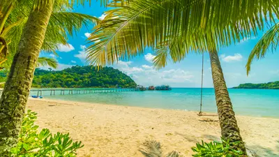 A serene beach scene with palm trees, golden sand, and a vibrant blue sky over clear water.