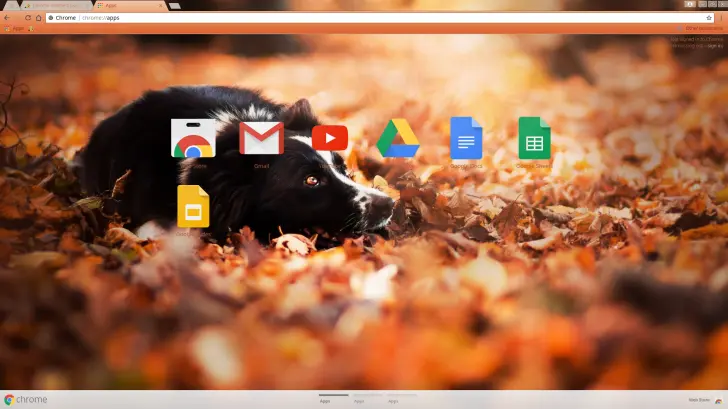 A black dog rests among vibrant autumn leaves, evoking a warm, tranquil mood.