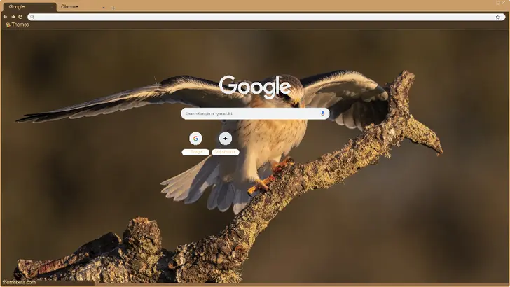 A poised bird with outstretched wings perches on a mossy branch, bathed in warm golden light.